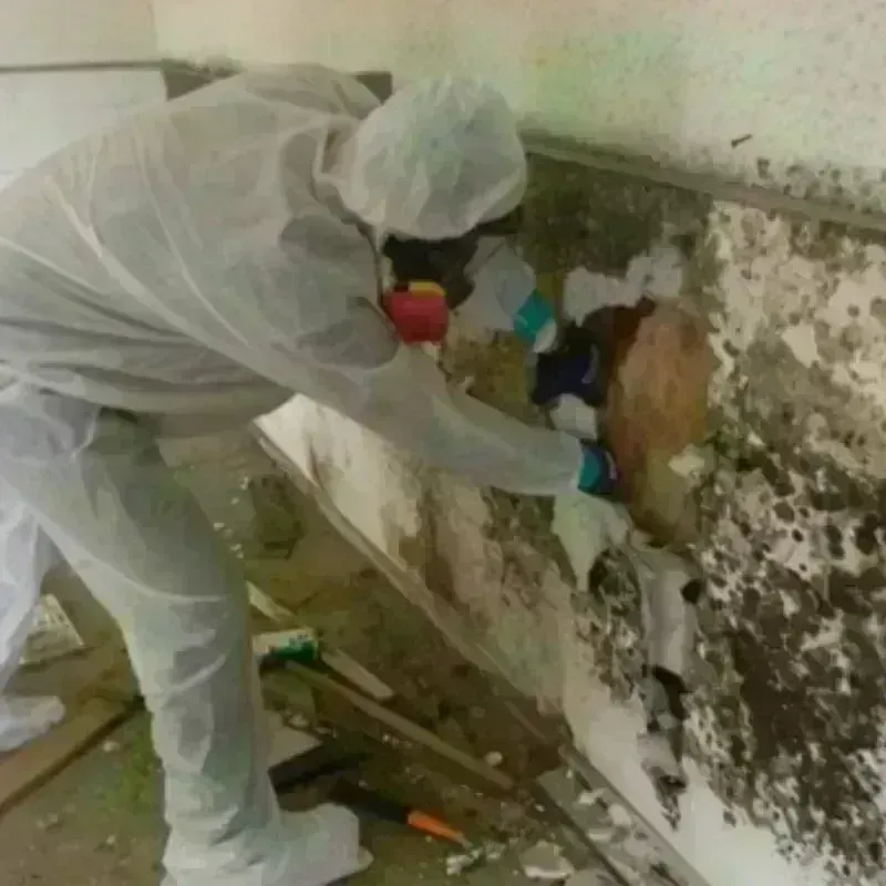 Mold Remediation and Removal in Stow, OH