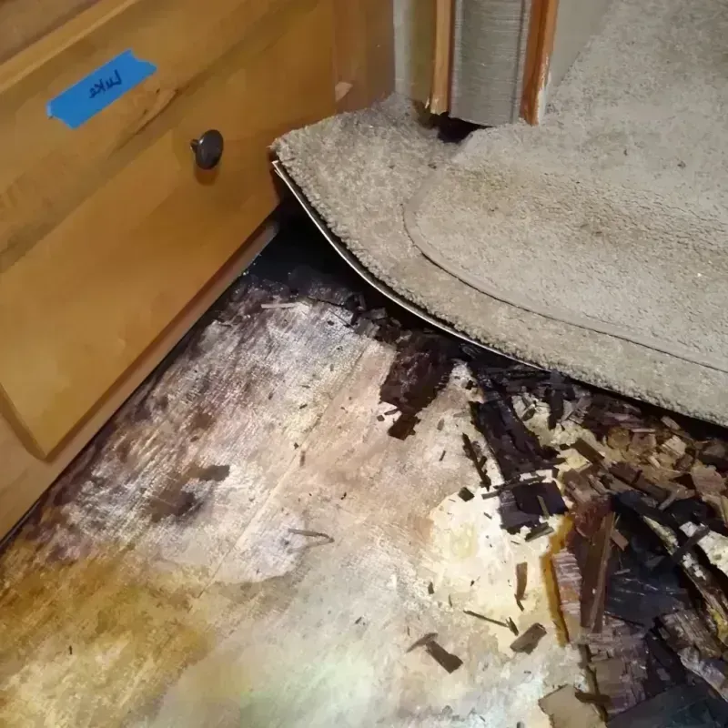 Wood Floor Water Damage in Stow, OH